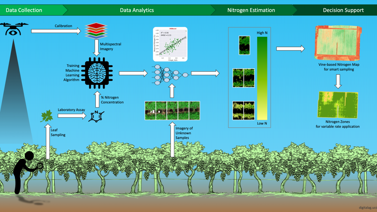 REmote Sensing for Nitrogen in Grape - Digital Agriculture Lab